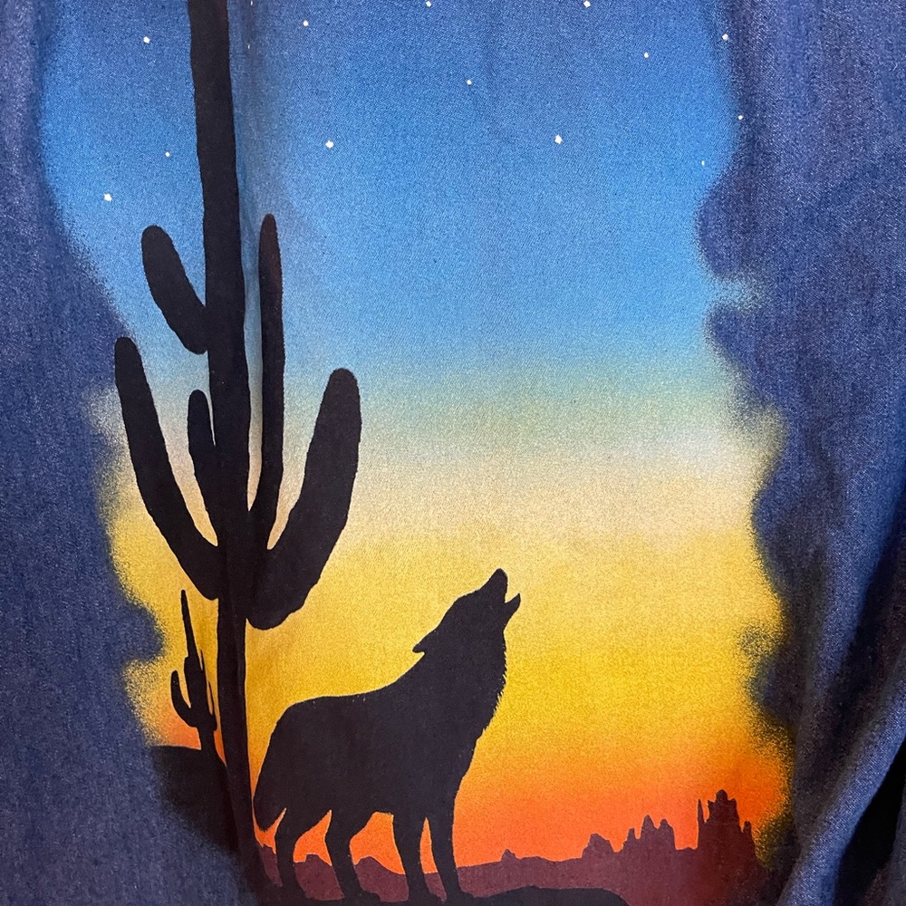 South Bay Western Top